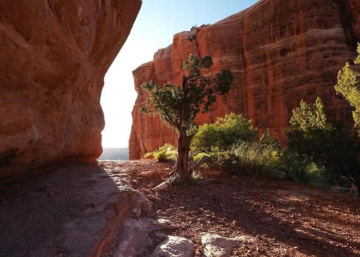 Cobalt Gateway To Grand Canyon Sedona & *